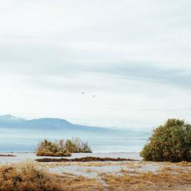 Julia Robbs 平静海