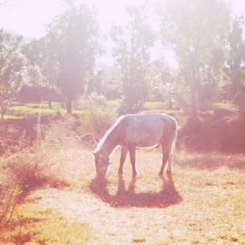 Rachael Hyde 摄影作品欣赏