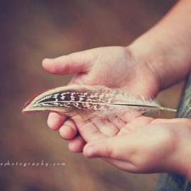 Sarah Wolfe 儿童摄影欣赏