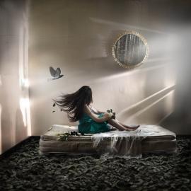 Diego Chavarro摄影作品