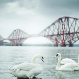 Joanna Kitchener 摄影作品欣赏