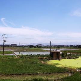 悠然仙居，绝美夏天