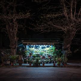 Paolo Fusco摄影作品：罗马的24小时鲜花铺