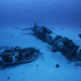 Dietmar Eckell摄影作品：快乐结局