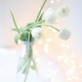 花世界 生活小点缀