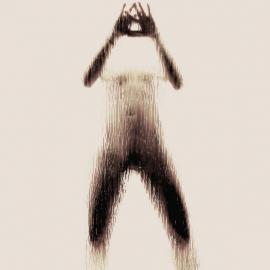 观念摄影：身体的字符