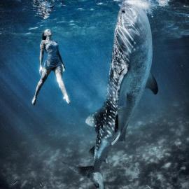 美女与鲨鱼共舞 By 摄影师Shawn Heinrichs和Kristian Schmidt