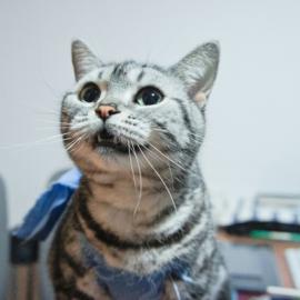 王丢丢 的幸福生活