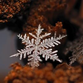 自然之美――结晶