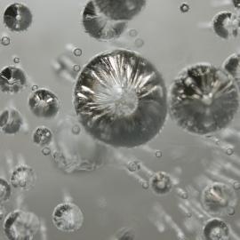 水底世界摄影比赛 2013 得奖作品选