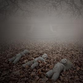 Leszek Bujnowski摄影作品