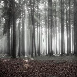 Jürgen Heckel 摄影作品欣赏