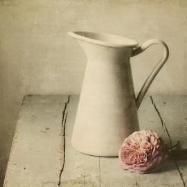 Amy Weiss 生活亦如此