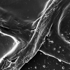 Luke Evans & Josh Lake：我是一个相机