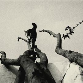 黄京：纯粹视觉