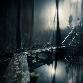 Mikko Lagerstedt 白天与黑夜