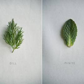 Kathrin Koschitzki：清新的食物摄影