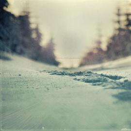 Lemisiewicz Tomasz 安静的旅程