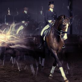 Tom Van Heel 奥林匹克精神