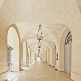 Franck Bohbot：我必须将这些数据转译成感觉