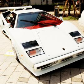 Alix 日本东京游记