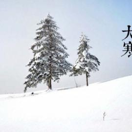 美得令人窒息的二十四节气图（下）