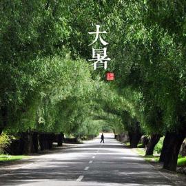 美得令人窒息的二十四节气图（上）