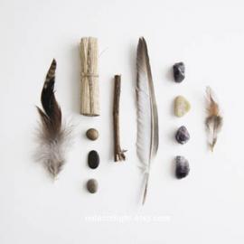 Miles of Light 自然的捕捉者