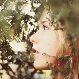 Elizabeth Brooke 讲故事的女孩子