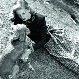 早期好莱坞明星照片中的动物们