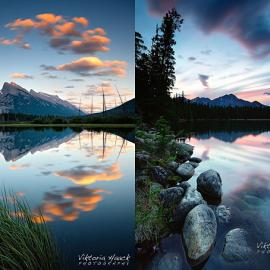 Viktoria Haack摄影作品