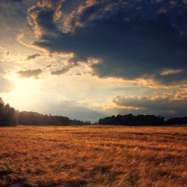 Pawel Matys摄影作品