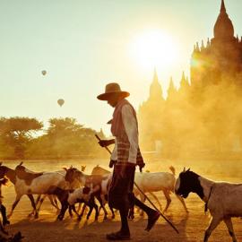 国家地理2012年摄影大赛获奖作品选