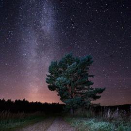 Mikko Lagerstedt 星星满天飞
