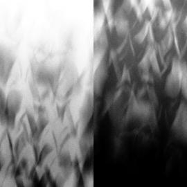 莫小维《堕落宇宙》