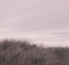 Sophie Ellis摄影作品