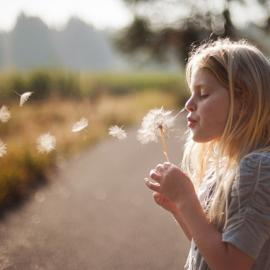 Lauren Rosenbaum 儿童摄影欣赏