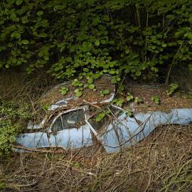 Peter Lippmann 被遗弃的汽车