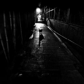 Jonathan van Smit街头摄影作品：香港