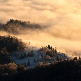 Elena Simona Craciun 自然摄影欣赏