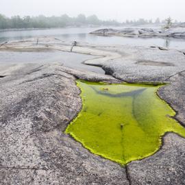 自然摄影师 Erlend Haarberg 摄影作品欣赏