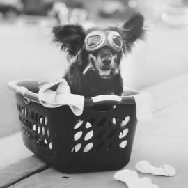 Jessica Trinh摄影作品