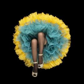 仿真微距花卉摄影的情色作品