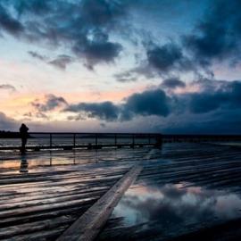 Mukul Soman 自然壮丽之美