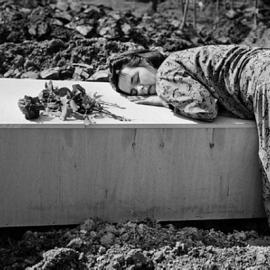 Tom Stoddart摄影作品