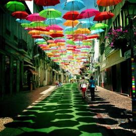 Patrícia Almeida摄影：五颜六色的梦幻浮伞