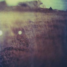 Ludwig West 梦幻曲