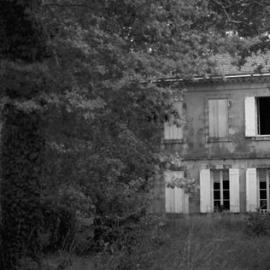 Mona Kuhn摄影作品