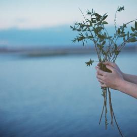 Yasya Fogelgardt 浪漫主义摄影作品欣赏