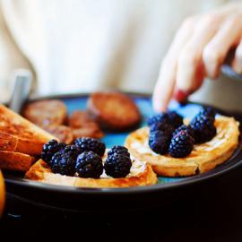 Sara Lynn Paige 生活，爱，猫咪